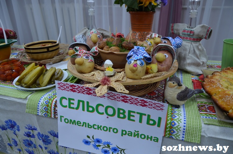 54d5d45ds4fgd5 (5).JPG